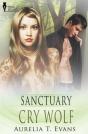 Sanctuary - Preview