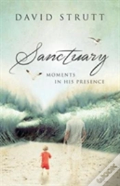 Capa do artigo Sanctuary