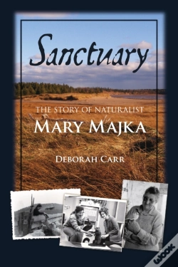 Capa do artigo Sanctuary