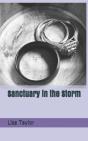Sanctuary In The Storm - Preview