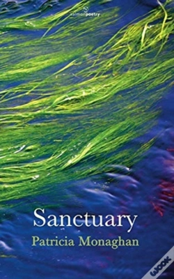 Capa do artigo Sanctuary