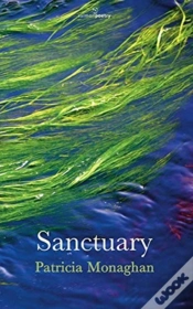 Capa do artigo Sanctuary