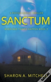 Capa do artigo Sanctum