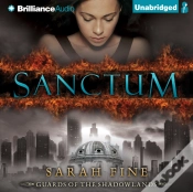 Capa do artigo Sanctum