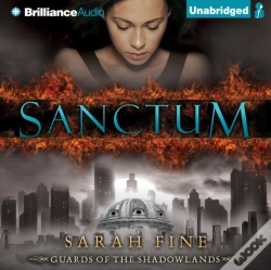 Capa do artigo Sanctum