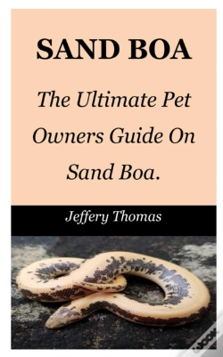 Capa do artigo Sand Boa