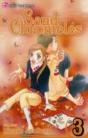 Sand Chronicles, Vol. 3 - Preview
