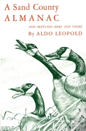 Capa do artigo Sand County Almanac