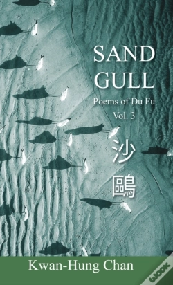 Capa do artigo Sand Gull