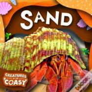 Sand