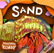 Capa do artigo Sand