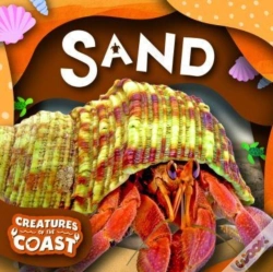 Capa do artigo Sand