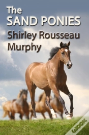 Capa do artigo Sand Ponies