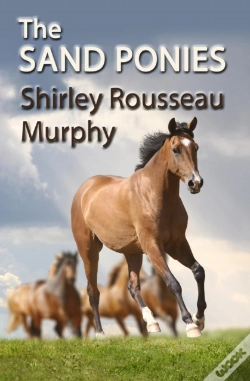 Capa do artigo Sand Ponies