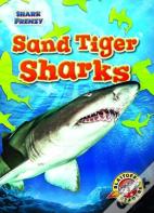 Sand Tiger Sharks