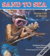 Sand To Sea