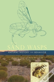 Capa do artigo Sand Wasps