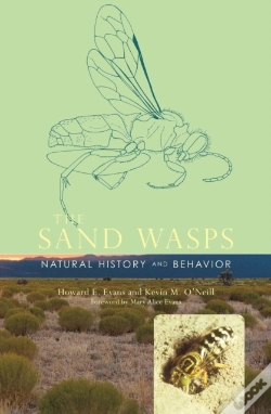 Capa do artigo Sand Wasps