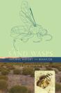 Sand Wasps - Preview