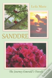 Capa do artigo Sanddre