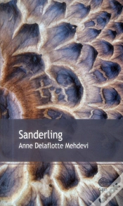 Capa do artigo Sanderling