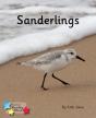 Sanderlings - Preview