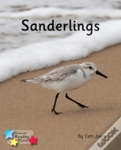 Capa do artigo Sanderlings
