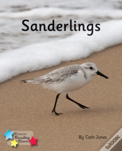 Capa do artigo Sanderlings