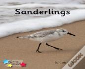 Sanderlings
