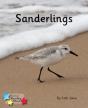 Sanderlings - Preview