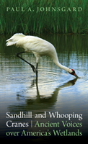 Sandhill And Whooping Cranes - Preview