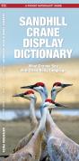 Sandhill Crane Display Dictionary - Preview