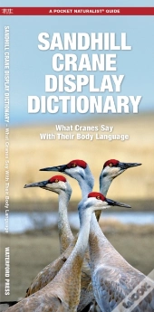 Sandhill Crane Display Dictionary