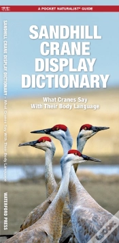 Capa do artigo Sandhill Crane Display Dictionary