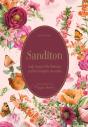 Sanditon - Preview