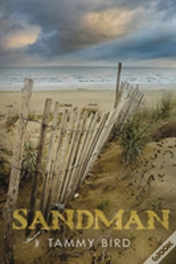 Capa do artigo Sandman