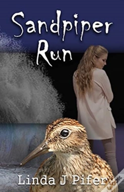 Capa do artigo Sandpiper Run
