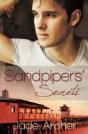 Sandpipers' Secrets - Preview