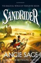 Capa do artigo Sandrider