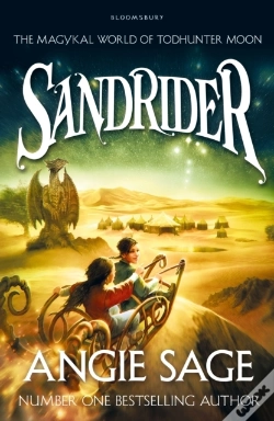 Capa do artigo Sandrider