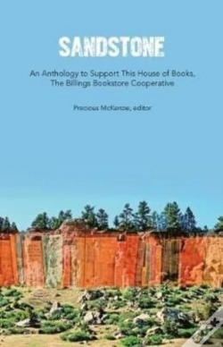 Capa do artigo Sandstone