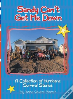 Capa do artigo Sandy Can'T Get Me Down