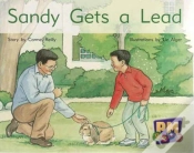 Capa do artigo Sandy Gets A Lead
