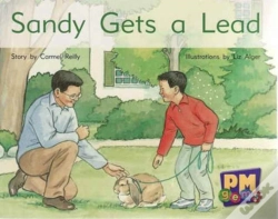 Capa do artigo Sandy Gets A Lead