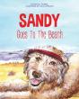 Sandy Goes To The Beach - Preview