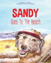 Capa do artigo Sandy Goes To The Beach