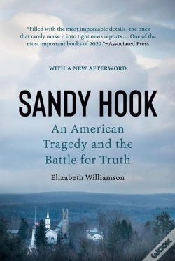 Capa do artigo Sandy Hook
