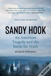 Capa do artigo Sandy Hook