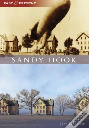 Capa do artigo Sandy Hook