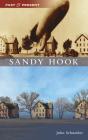 Sandy Hook - Preview